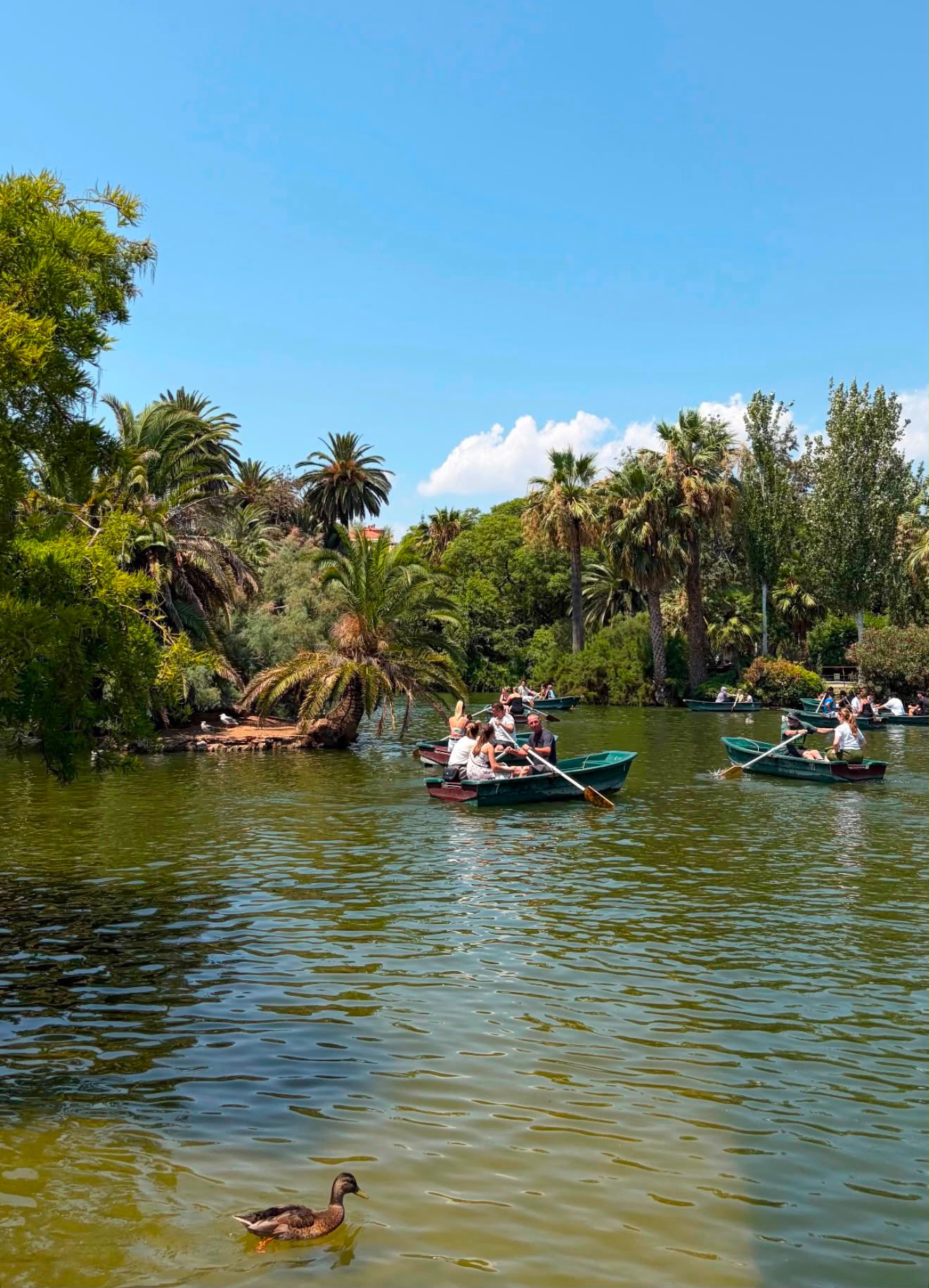 Rowing boats on the lake at Ciutadella Park, Barcelona