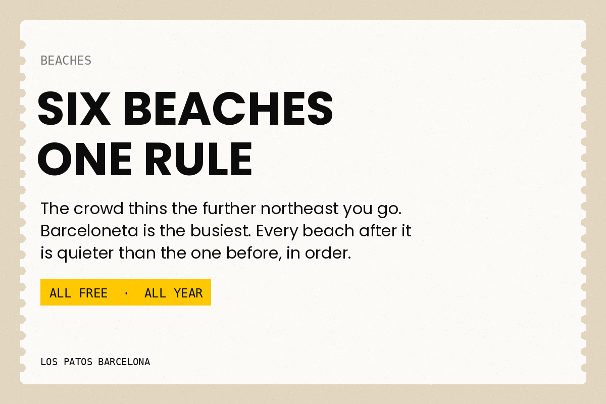 Which Beach: Depending on What You Want From the Day